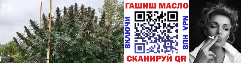 блэк спрут tor  Исилькуль  Дистиллят ТГК жижа 